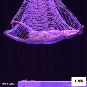 Lee más sobre el artículo Convocatoria Residencia Artística Festival del Circo 2023